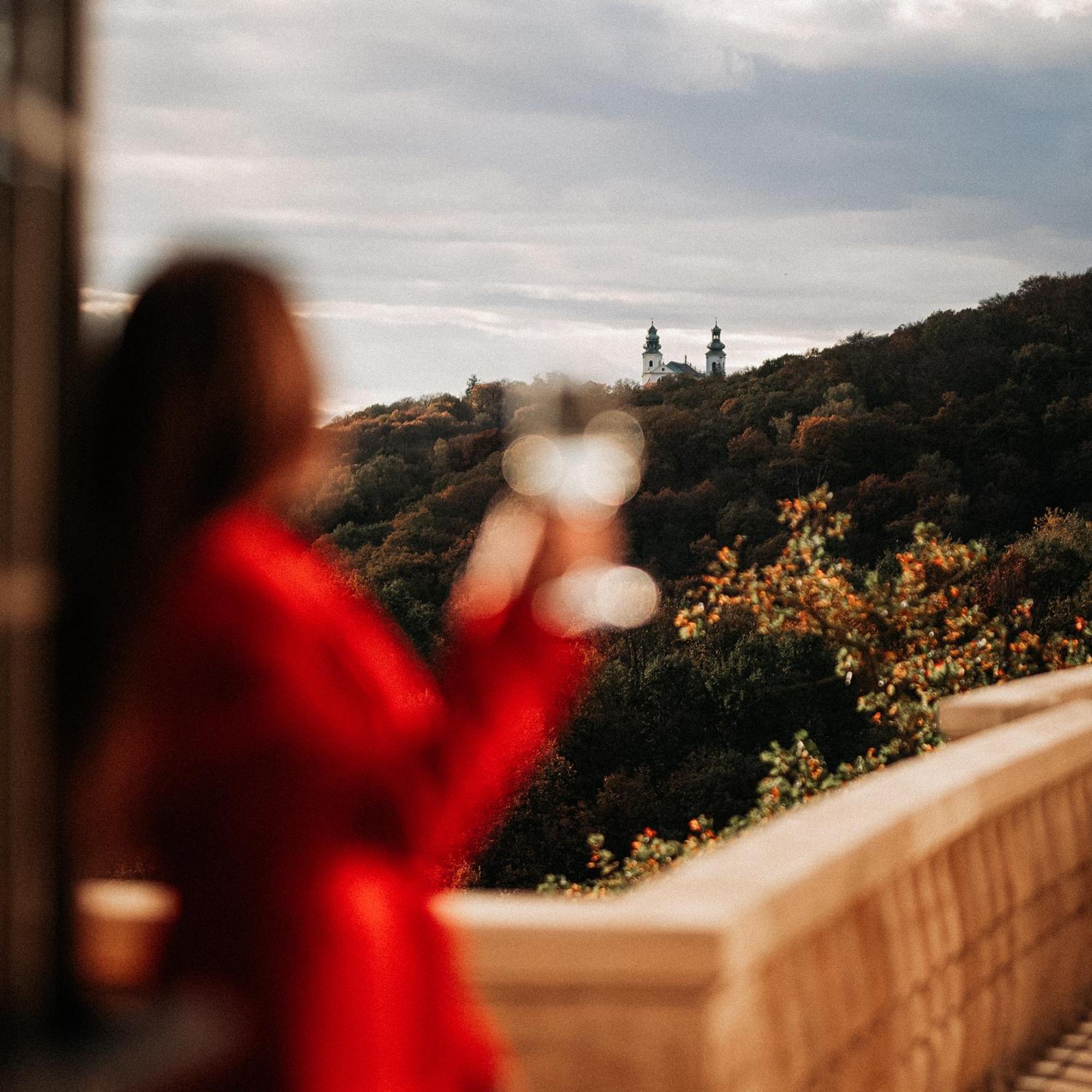 Zinar Castle Hotel Kraków Eksteriør billede