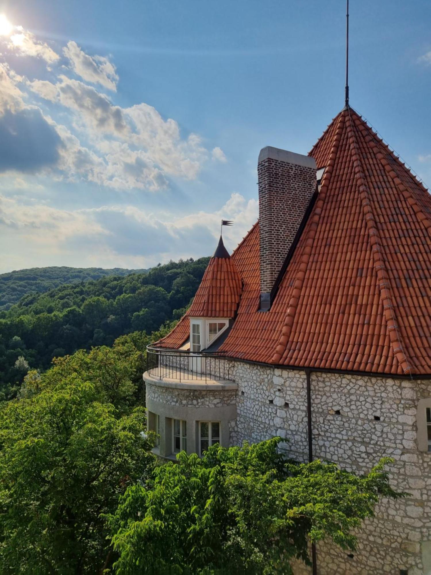 Zinar Castle Hotel Kraków Eksteriør billede